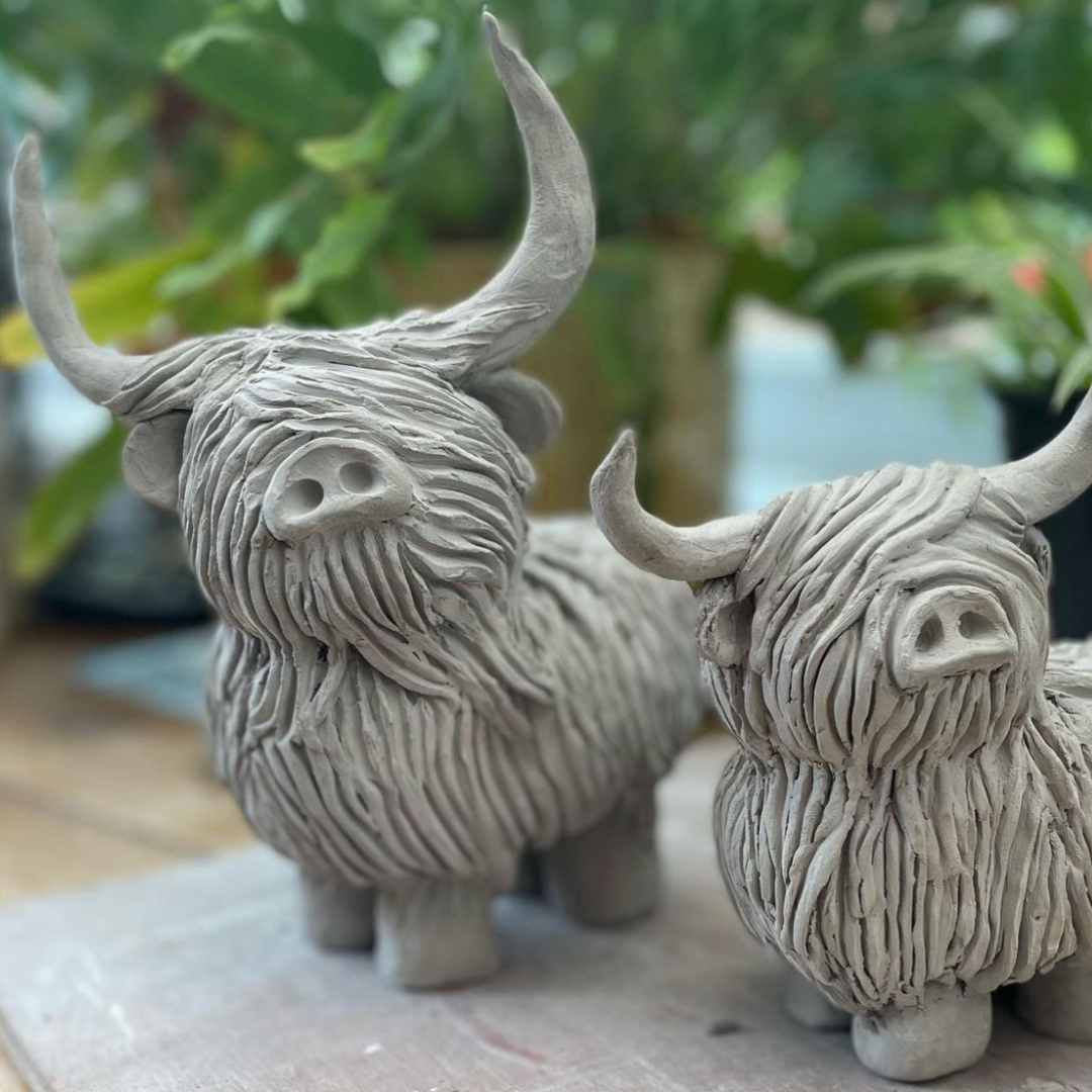 Clay Highland Cows Yeppoon Sun 12/10