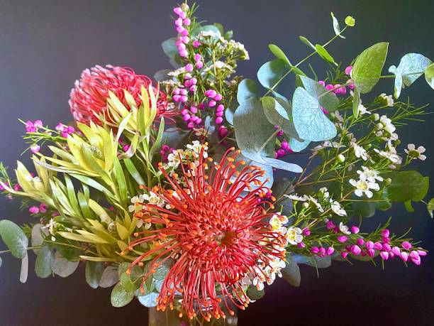 Deniliquin Prosecco + Plants Wreath Making Workshop - 22nd February
