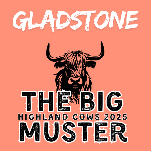 Clay Highland Cows Gladstone Fri 31/10 evening only