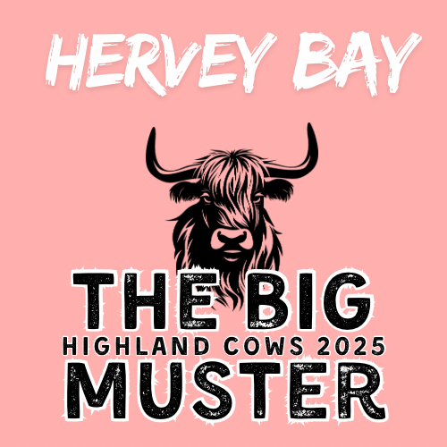 Clay Highland Cows Hervey Bay Sat 25/10