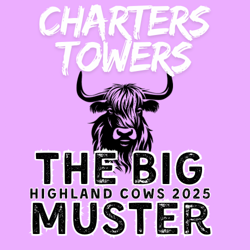 Clay Highland Cows Charters Towers Tues 7/10