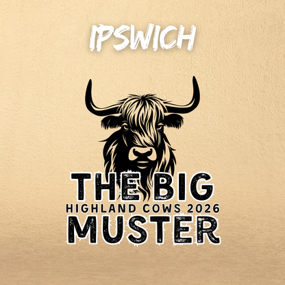 Clay Highland Cows Ipswich January 11th 2026