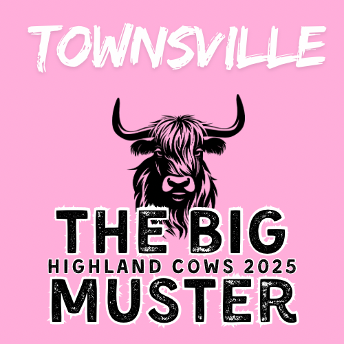 Clay Highland Cows Townsville Wed 8/10
