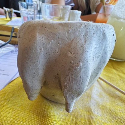 Rockhampton Clay Mugs, Ugly Mug or Boobie Mug Sunday 19th April 2026