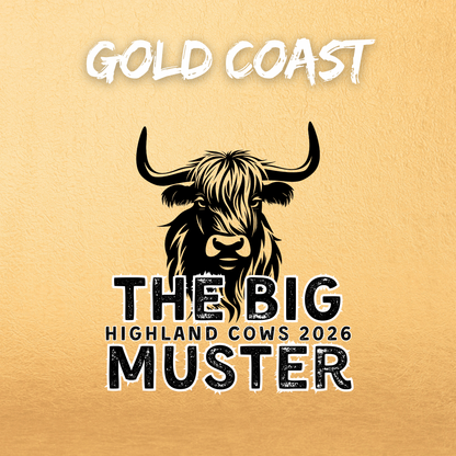 Clay Highland Cows Gold Coast January 12th 2026
