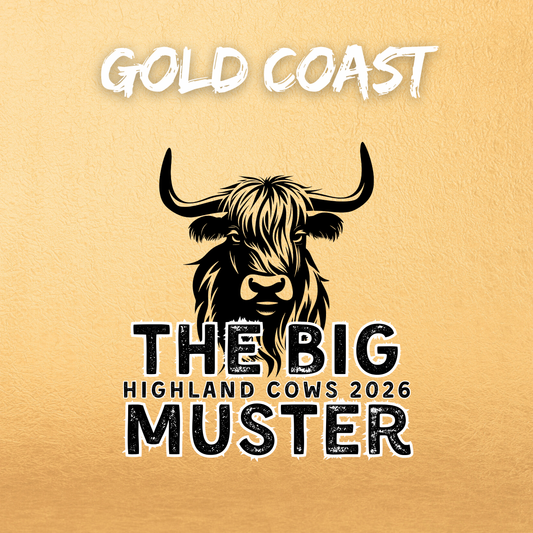 Clay Highland Cows Gold Coast January 12th 2026