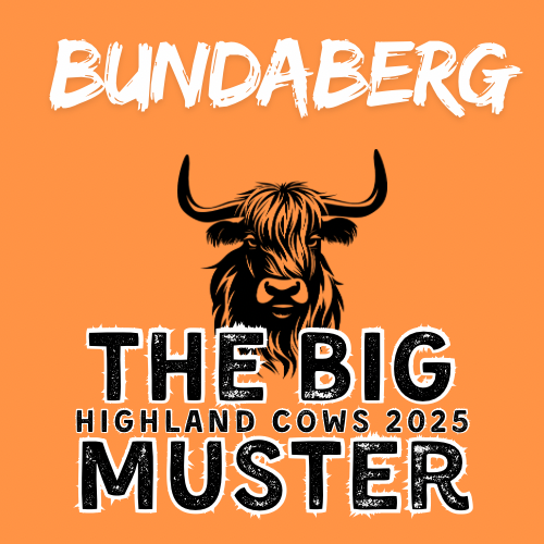 Clay Highland Cows Bundaberg Sat 18/10