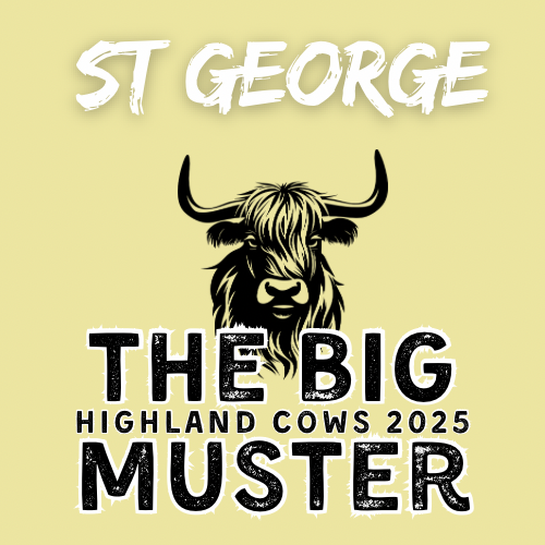 Clay Highland Cows St. George Sun 28/9