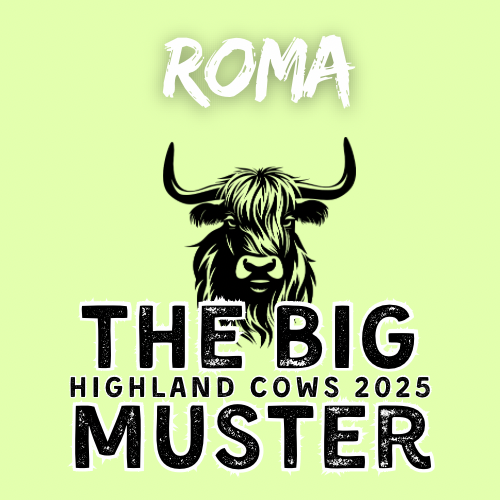 Clay Highland Cows Roma Mon 29/9