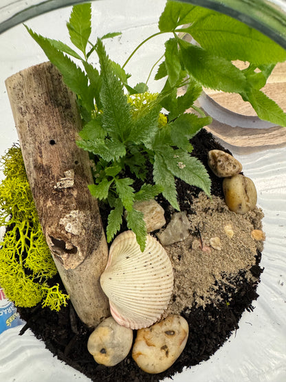 Dubbo Terrarium Workshop - 23rd Nov 2025 *Deposit only*