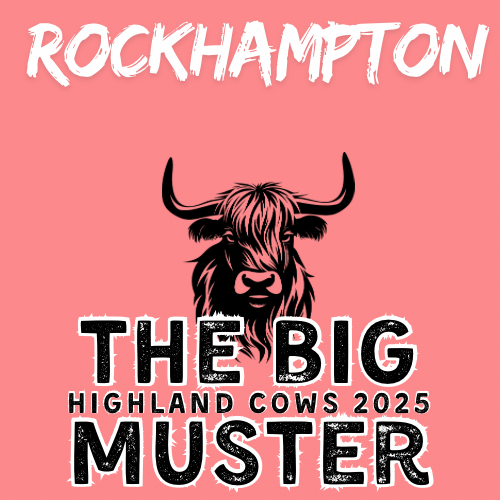 Clay Highland Cows Rockhampton Sat 11/10