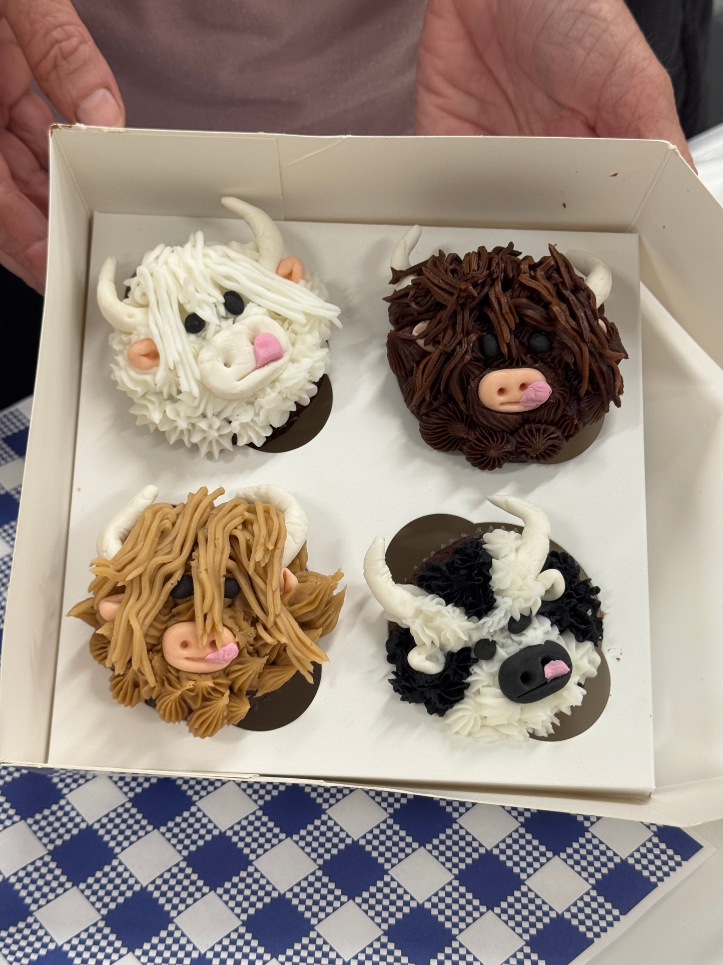 Hervey Bay Cupcake Decorating 26th April 2026