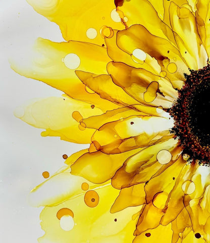 Mackay Alcohol Ink Blooms - Coasters Saturday 11th April 2026