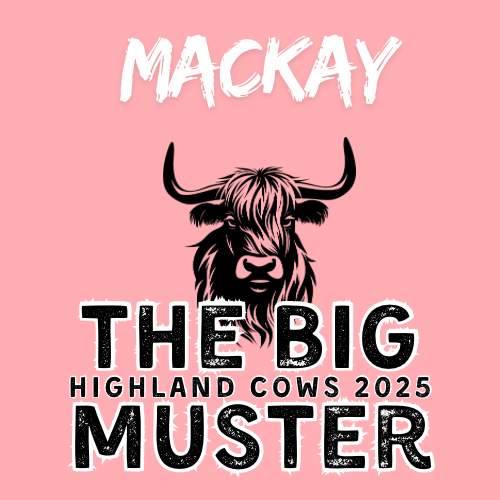 Clay Highland Cows Mackay Fri 10/10