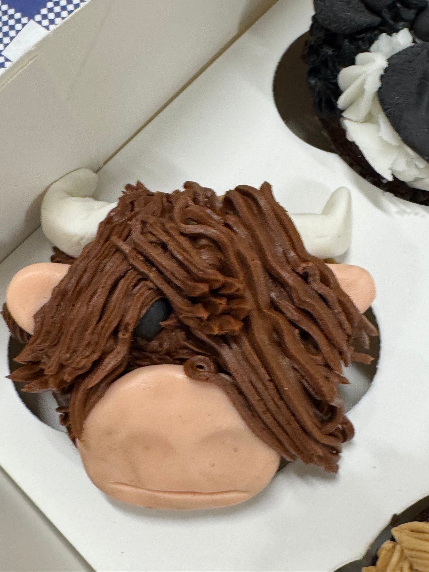 Hervey Bay Cupcake Decorating 26th April 2026