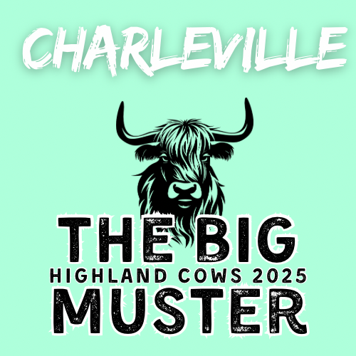 Clay Highland Cows Charleville Tue 30/9