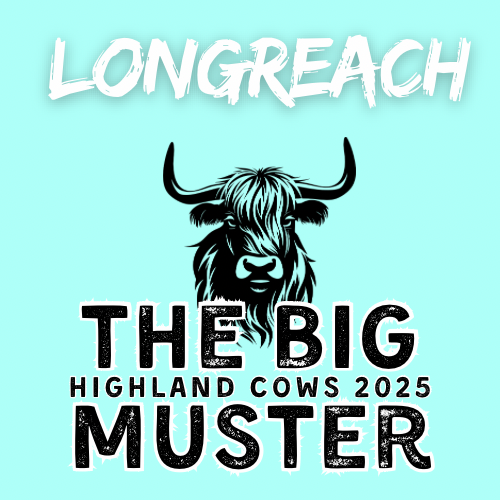 Clay Highland Cows Longreach Thur 2/10