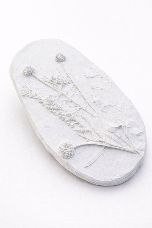 Kingaroy Plaster Impression 28th June