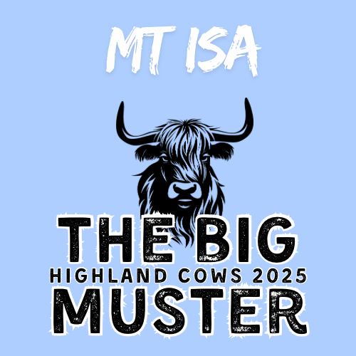 Clay Highland Cows Mt Isa Sun 5/10