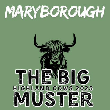 Clay Highland Cows Maryborough Fri 24/10