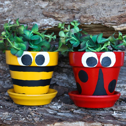 School Holiday - Garden Craft (Paint a Pot includes plants) Wed 14 Jan