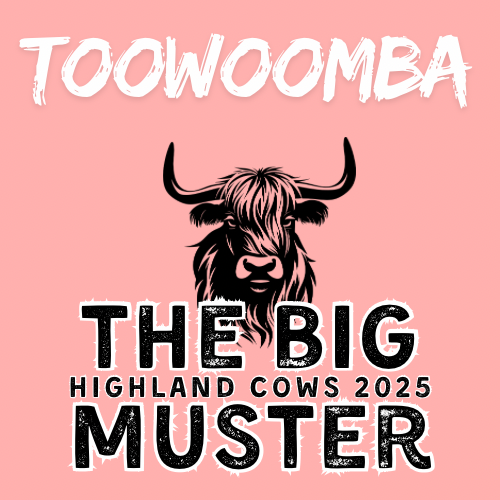 Clay Highland Cows Toowoomba Fri 26/9
