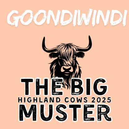 Clay Highland Cows Goondiwindi Sat 27/9
