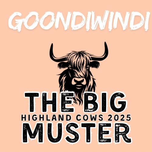 Clay Highland Cows Goondiwindi Sat 27/9
