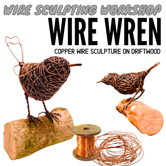 Emerald Copper wire wrens on driftwood 31st Aug 2025 * Deposit only*