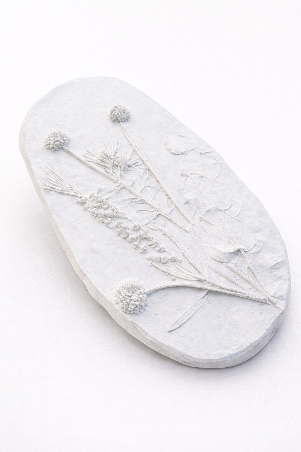 Gladstone Plaster Impression 14th June