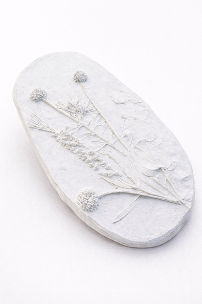 Gladstone Plaster Impression 14th June