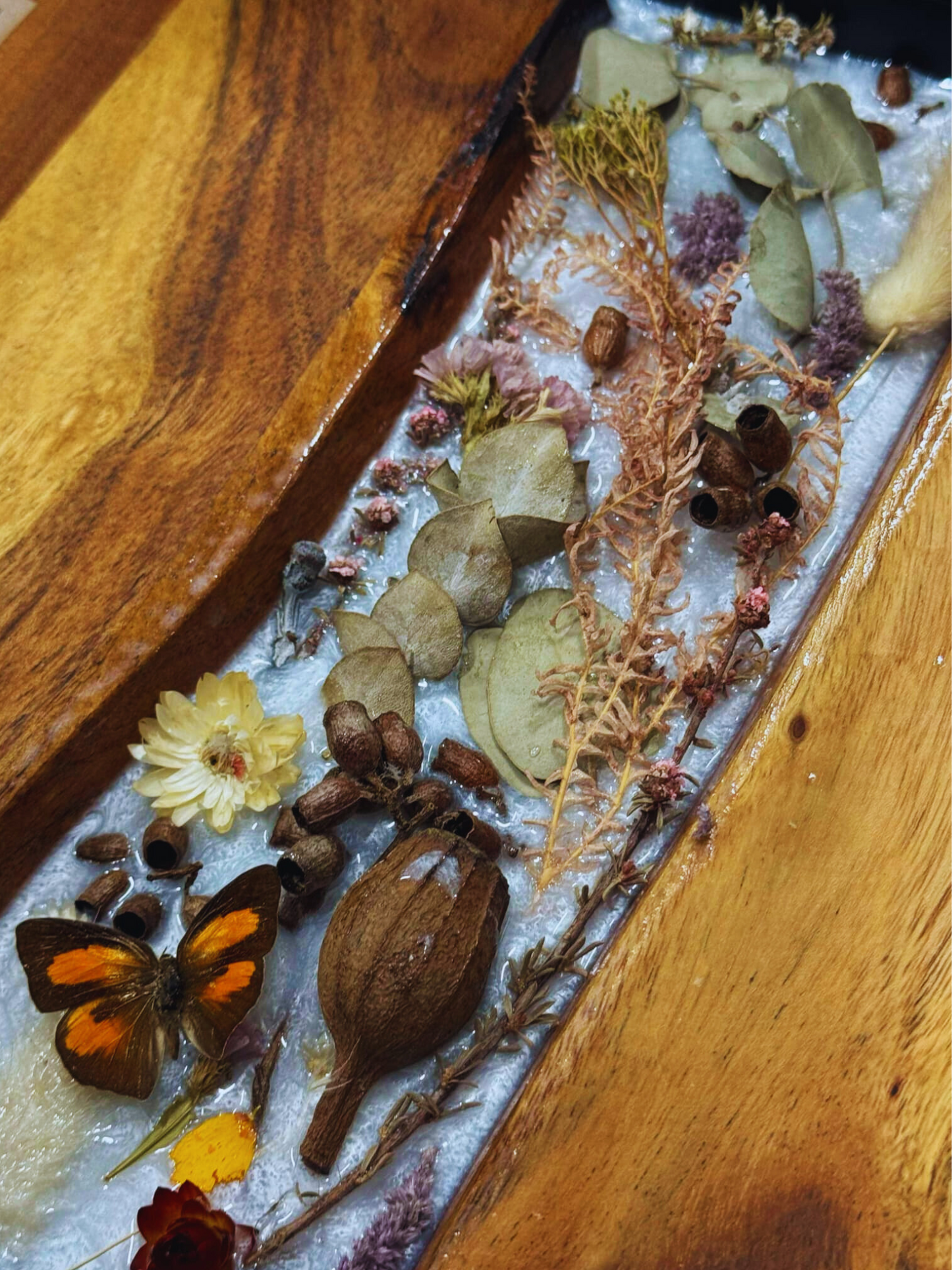 Pressed flowers and herbs on a wooden surface with a butterfly.