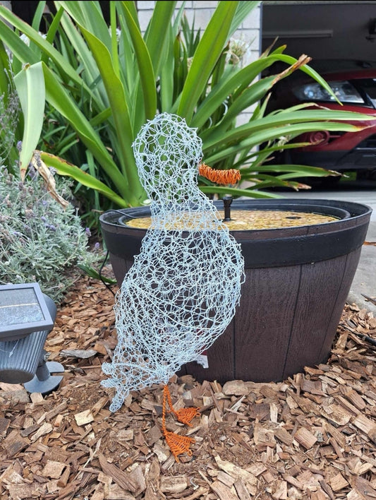 Gympie Wire Art Workshop - Ducks & Chickens 1st June