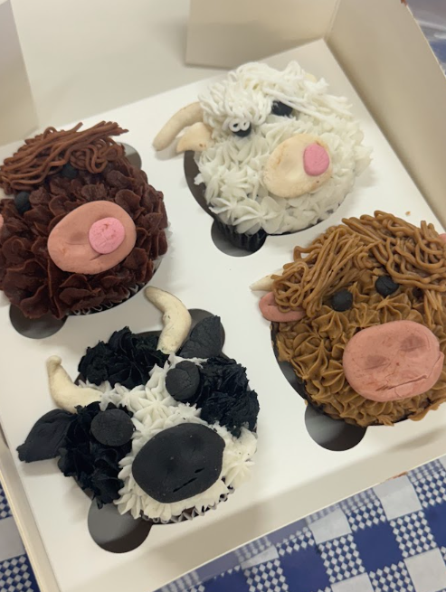 Mackay Highland Cow Cupcake decorating Sunday 12th April 2026