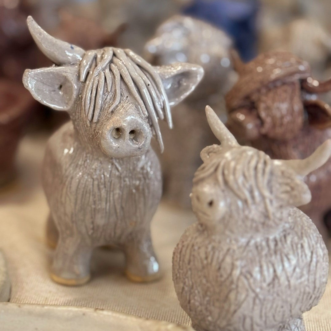 Clay Highland Cows Mooloolaba 23rd January 2026
