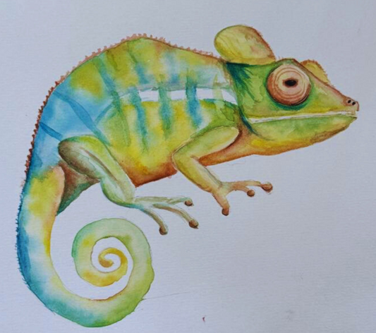 Colorful chameleon illustration on a white background