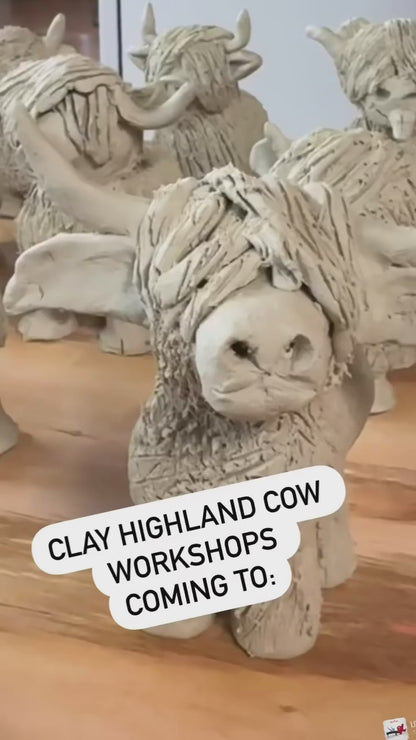 Clay Highland Cows Roma Mon 29/9