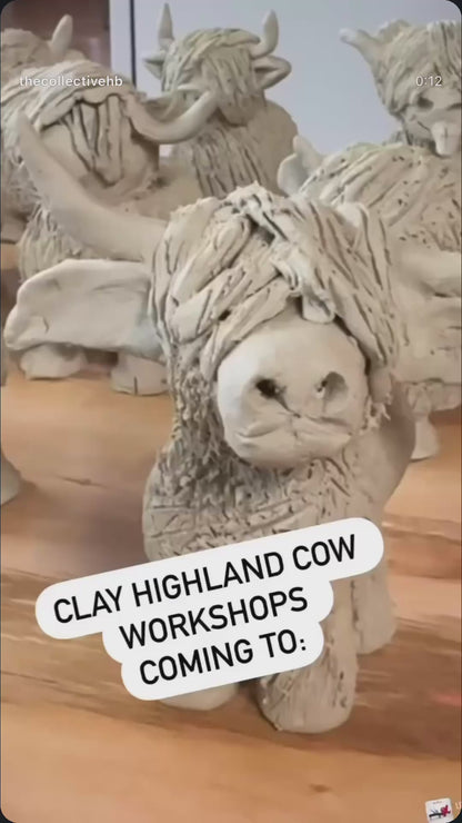 Clay Highland Cows Roma Mon 29/9