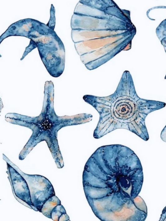Gympie Watercolour Workshop- Ocean Inspired 17th August *Deposit Only*