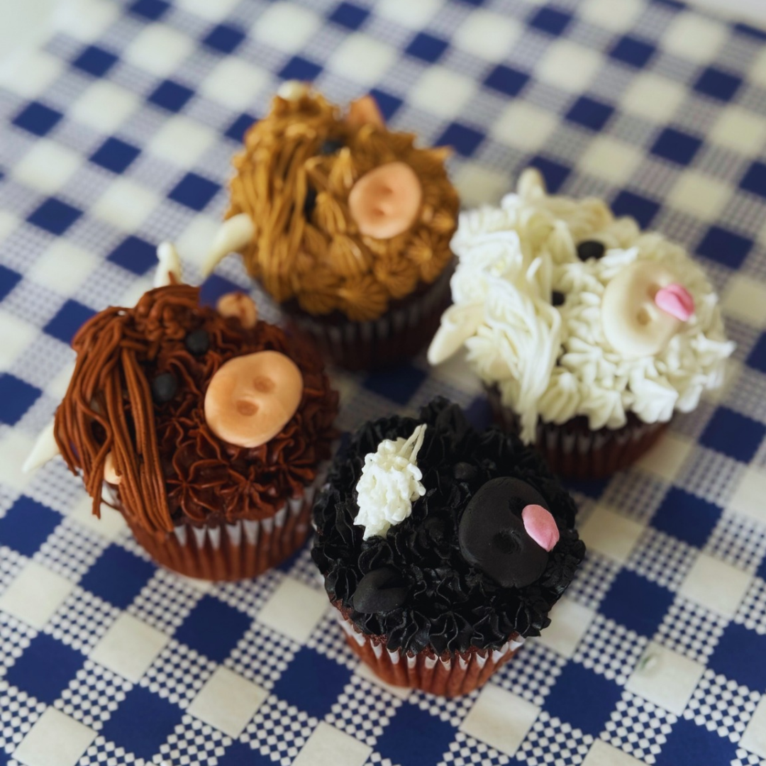 Hervey Bay Cupcake Decorating 25th July 2026